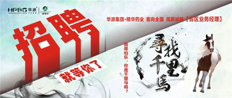 寻找千里马 | 华派集团•鸿运国际药业面 向天下高薪诚聘【省区营业司理】 我是伯乐，，，，，，你是千里马吗？？？？？？