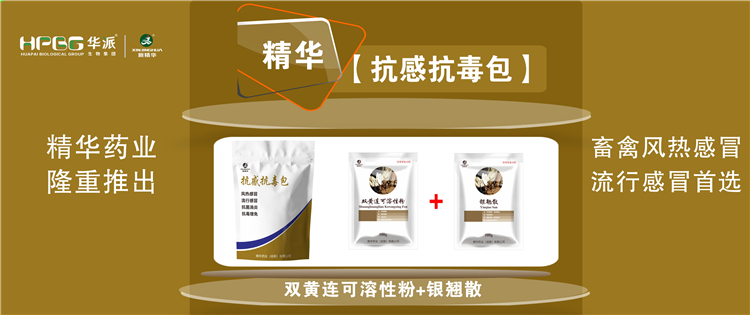 科普：几种常见畜禽伤风与盛行性伤风的防控 |【抗感抗毒包】抗菌消炎、解热排毒、抗毒增免，，畜禽风热伤风、盛行伤风首选!