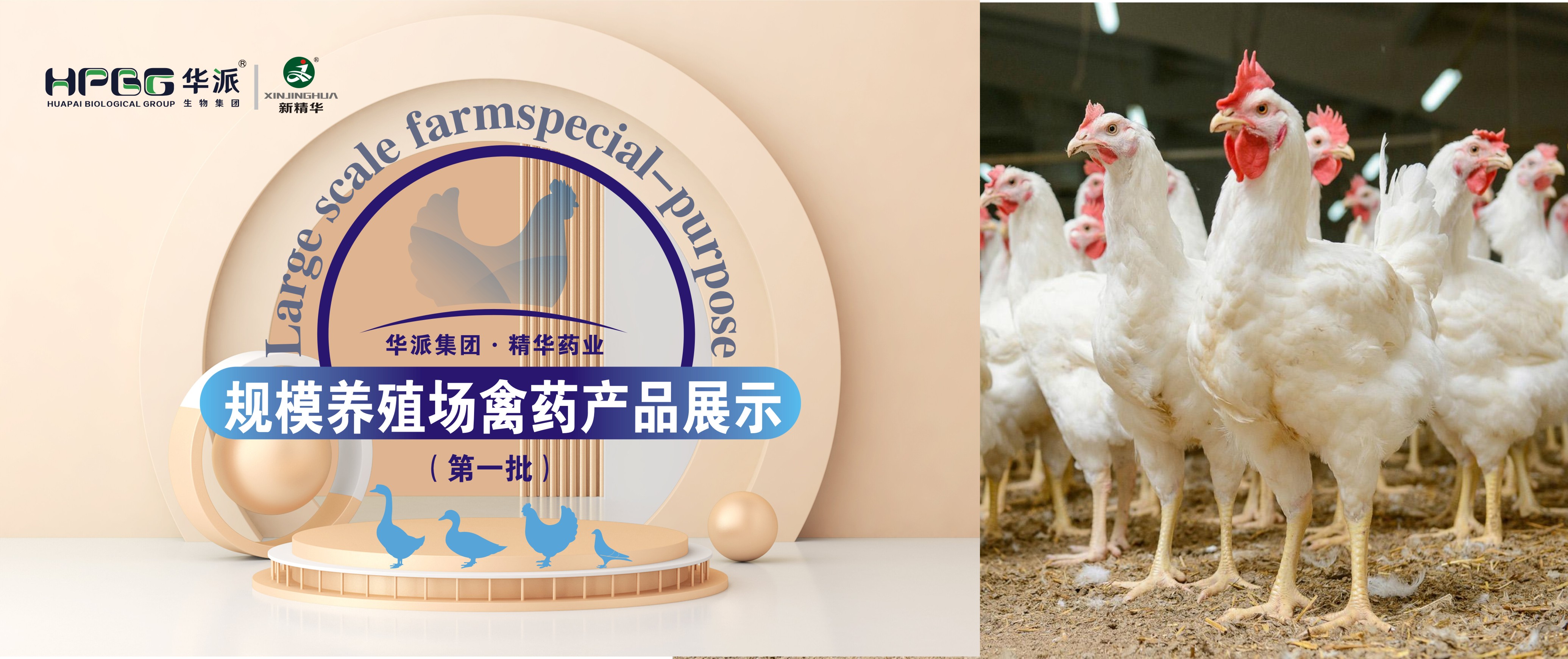 规；；；；；；吵∽ㄓ | 华派集团·鸿运国际药业规；；；；；；吵∏菀┎氛故荆ǖ谝慌